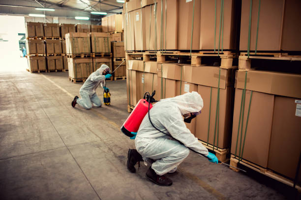 Best Bed Bug Extermination  in Mill Creek, WA