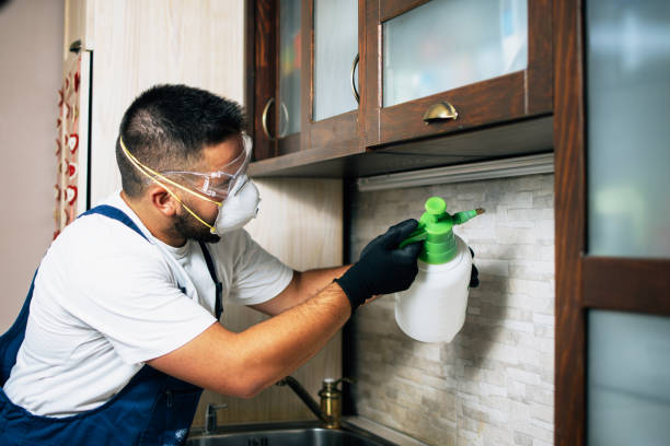 Trusted Mill Creek, WA Pest Control Experts