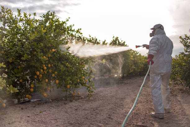 Wildlife Control Services in Mill Creek, WA