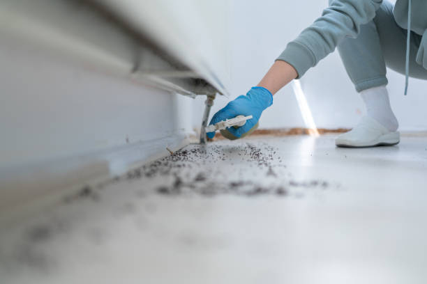 Best Residential Pest Control  in Mill Creek, WA